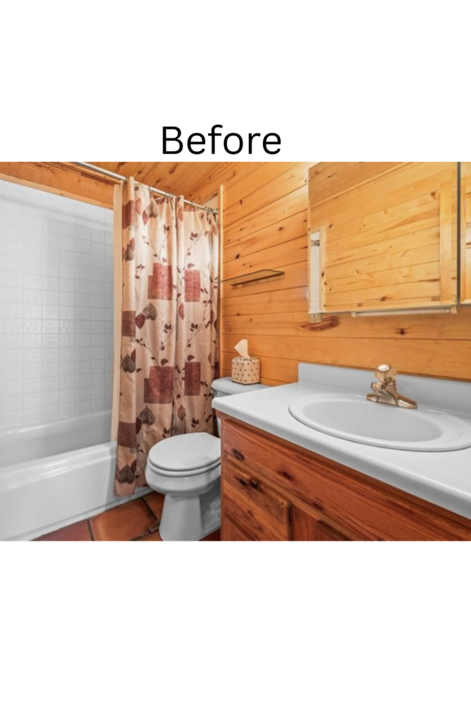 cabin main before (2)